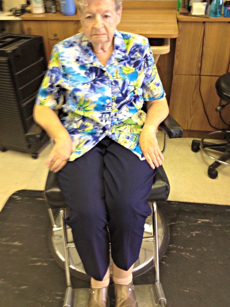 salon chair footrest for elderly | rose pedals salon chair footrest